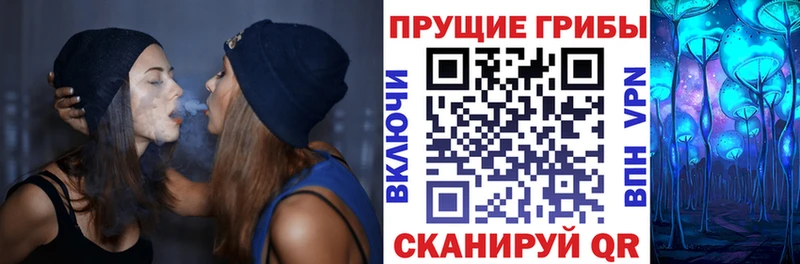 Галлюциногенные грибы прущие грибы  Купить где  Кандалакша 