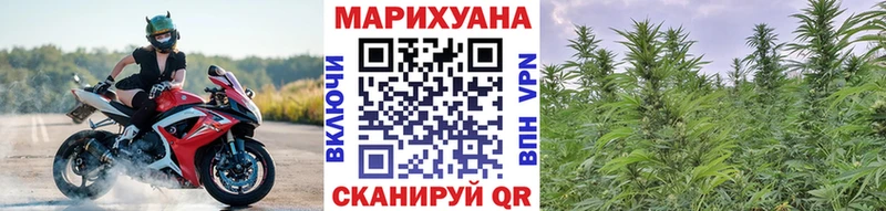Купить где  Кандалакша  Канабис SATIVA & INDICA 